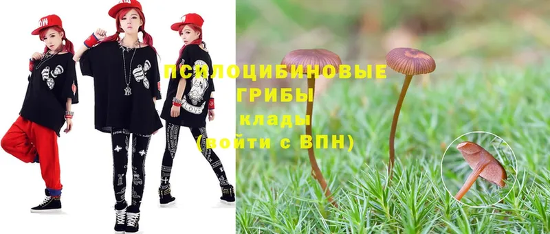 Псилоцибиновые грибы MAGIC MUSHROOMS  mega вход  Заволжск 